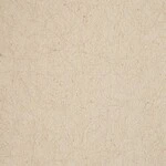 ライトアイボリー 塗り壁調 消臭 防かび   ルノン RH-9334