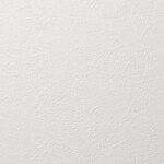 ホワイト 塗り壁調 防かび 抗菌   ルノン RH-9359