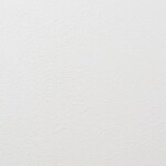 ホワイト 塗り壁調 抗ウィルス 抗菌 防かび   ルノン RH-9415