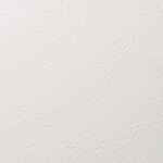 ホワイト 塗り壁調 抗アレルギー 防かび 抗菌   ルノン RH-9429