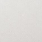 ライトグレー 塗り壁調 吸放湿性 透湿性 防かび   ルノン RH-9448