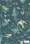 ブラック フラワー Cole＆Son   1ロール10m 112-4014 輸入壁紙
