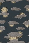 ブラック キャラクター＆イラスト Cole＆Son   1ロール10m 123-2008 輸入壁紙